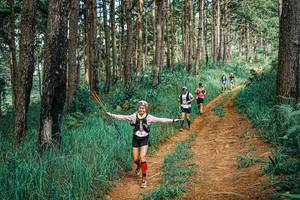 BIB: 
                            <button type="button" onclick="openModal(25748942)" class="btn btn-primary btn-sm float-right btn-popup" data-toggle="modal" data-target=".modal-high-quality">
                        <i class="fas fa-shopping-cart"></i> Add to Cart
                    </button>
                                            <button type="button" onclick="isThisMe(25748942, true)" class="btn btn-success btn-sm float-right btn-popup btn-isme hidden" data-toggle="tooltip" data-placement="bottom" title="นี่คือรูปของคุณใช่ไหม คลิกที่นี่เพื่อเอาเข้าอัลบั้ม">
                        <i class="fas fa-plus"></i> Add to album
                    </button>
                    <button type="button" onclick="isThisMe(25748942, false)" class="btn btn-warning btn-sm float-right btn-popup btn-isnotme hidden">
                        <i class="fas fa-ban"></i> Remove from album
                    </button>